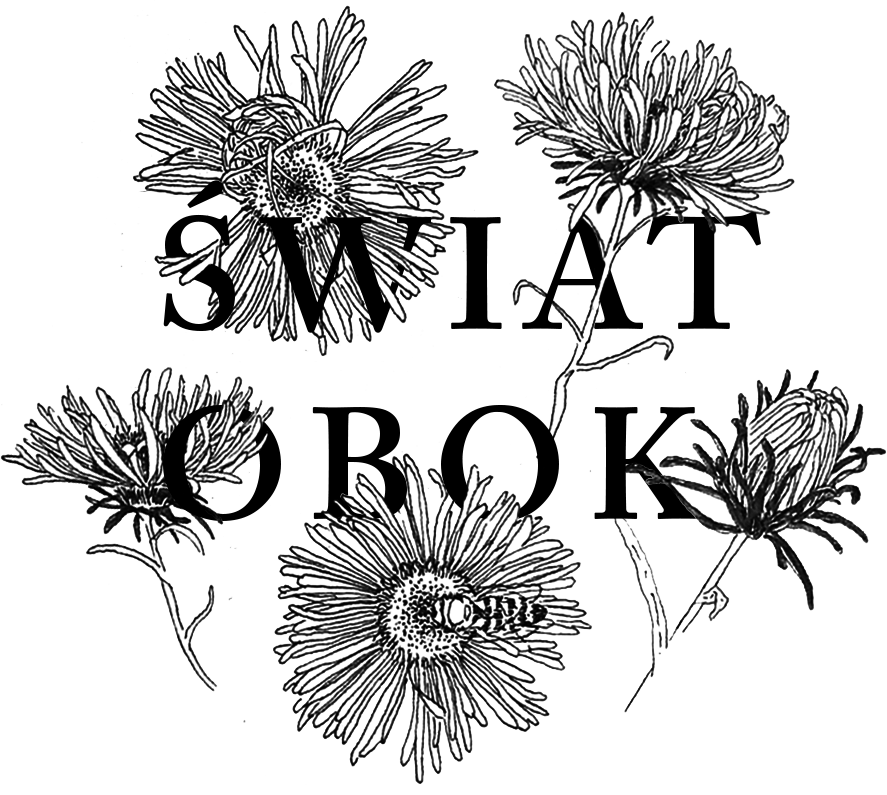 Logo - Świat obok
